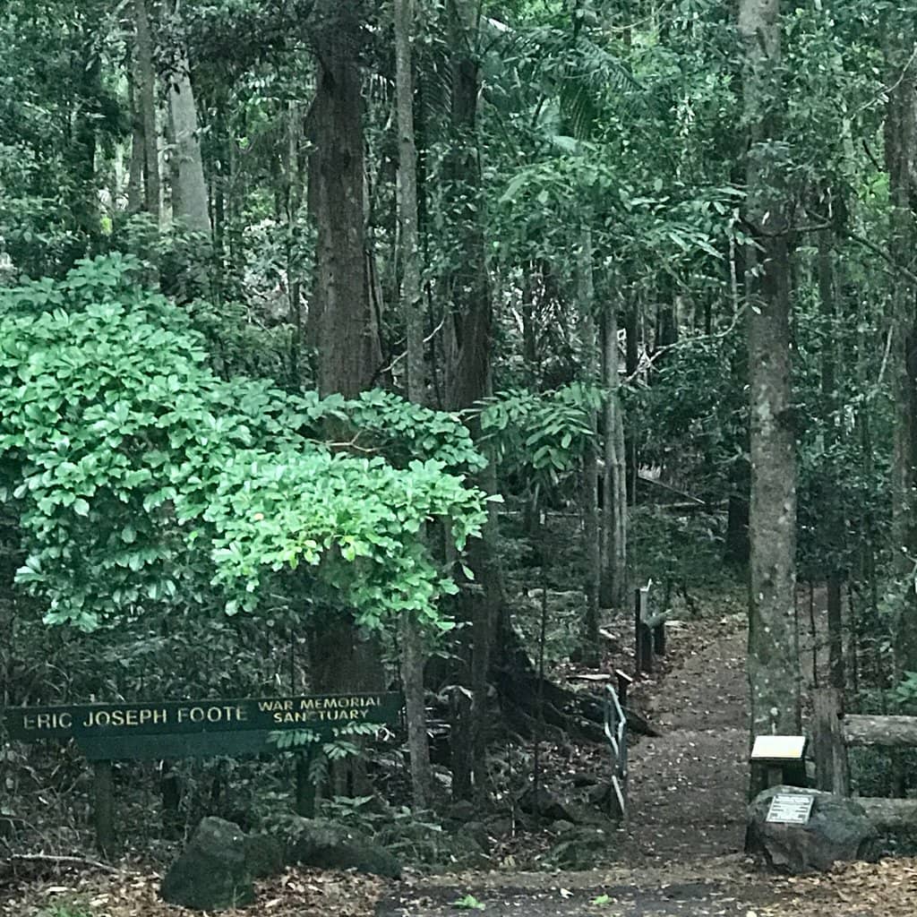 Tranquil Wildlife Encounters