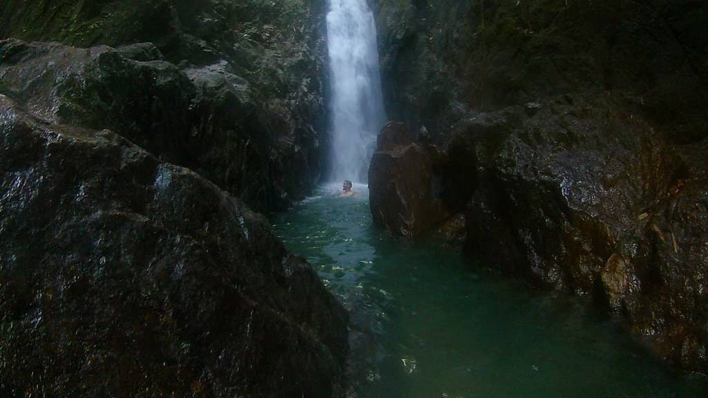 Gibbon Rehabilitation Project