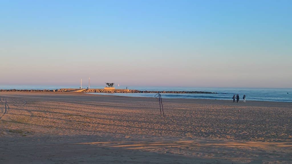 Spacious and Uncrowded