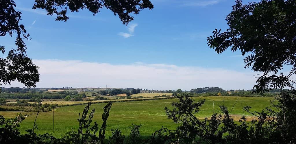 Creepy Crawly Encounters