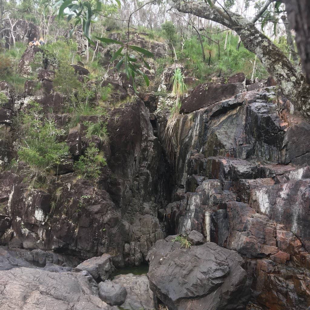 Vertical photo