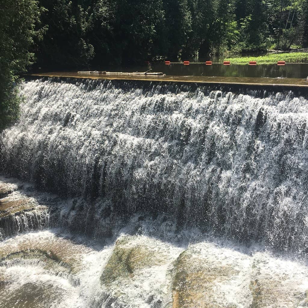 Woodland Trails & Boardwalks