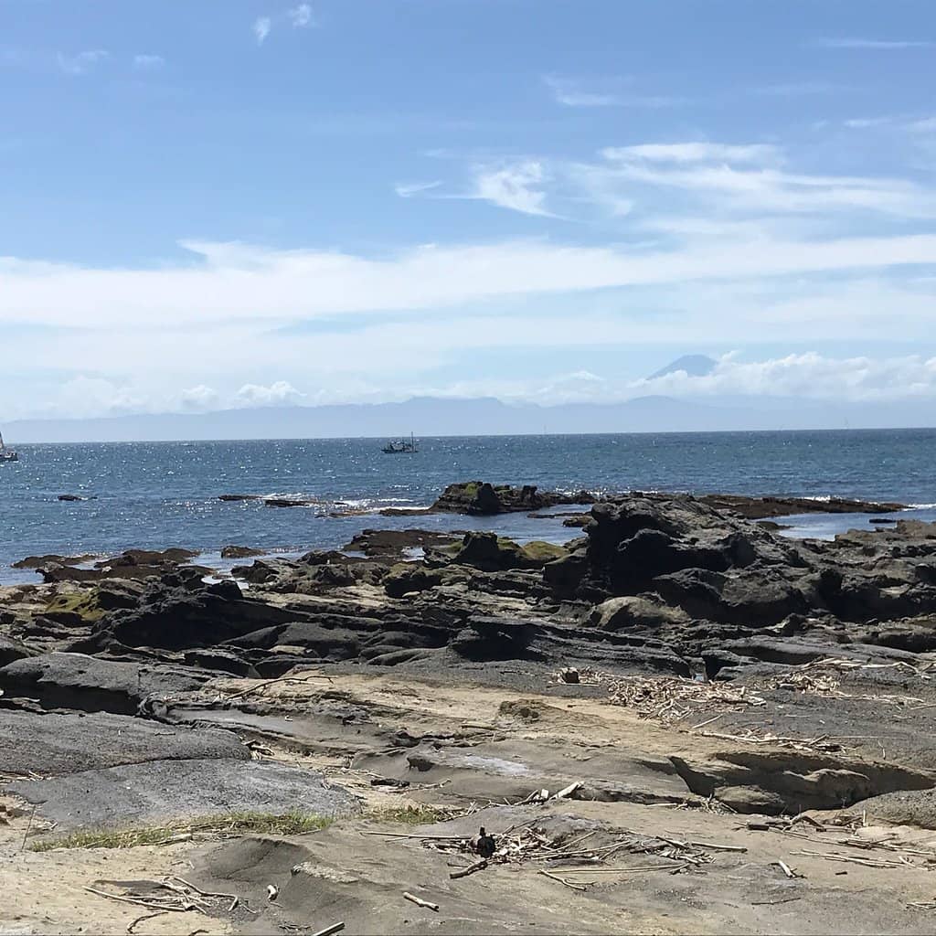 Rugged Coastal Beauty