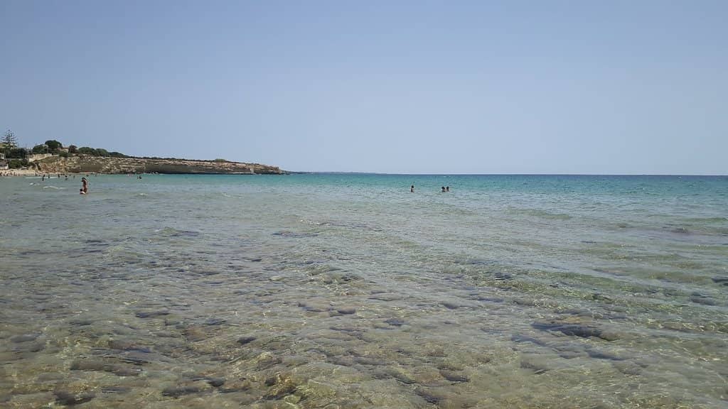 Marine Life Encounters