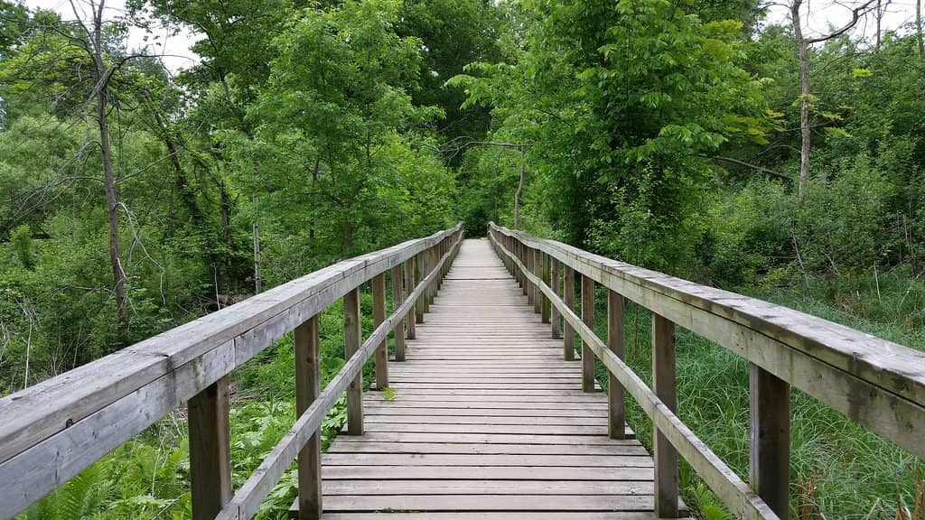 Lake Ontario Shingle Beach