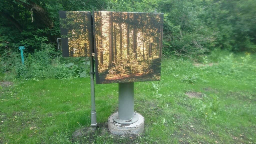 The Ravine Trails