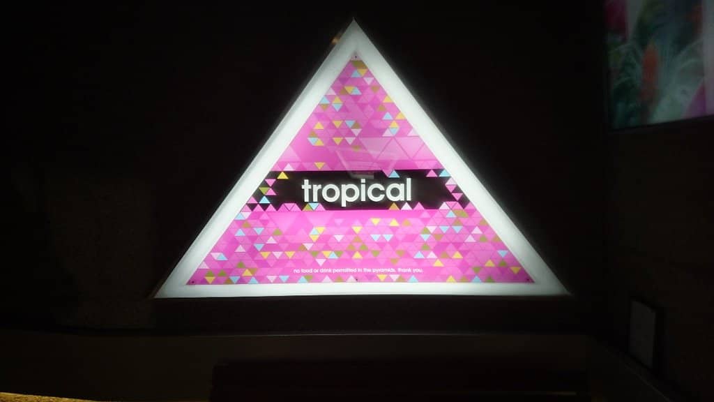 Tropical Biome