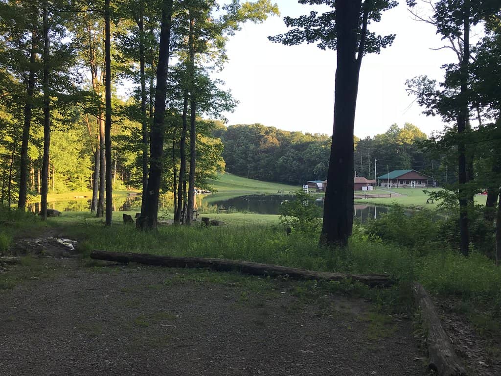 Summer Concerts & Swimming