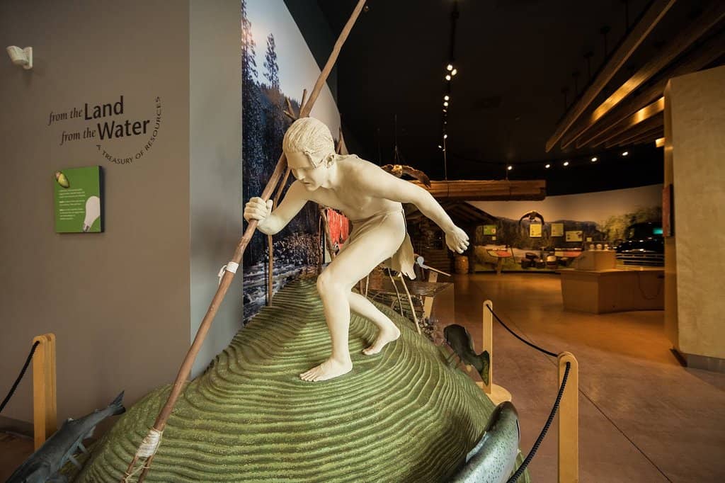 Parrot Playhouse & Butterfly House