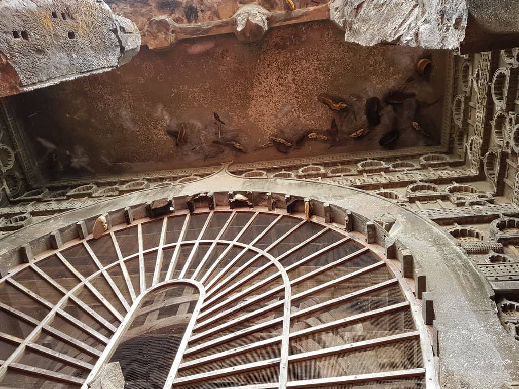 Karla Caves Proximity