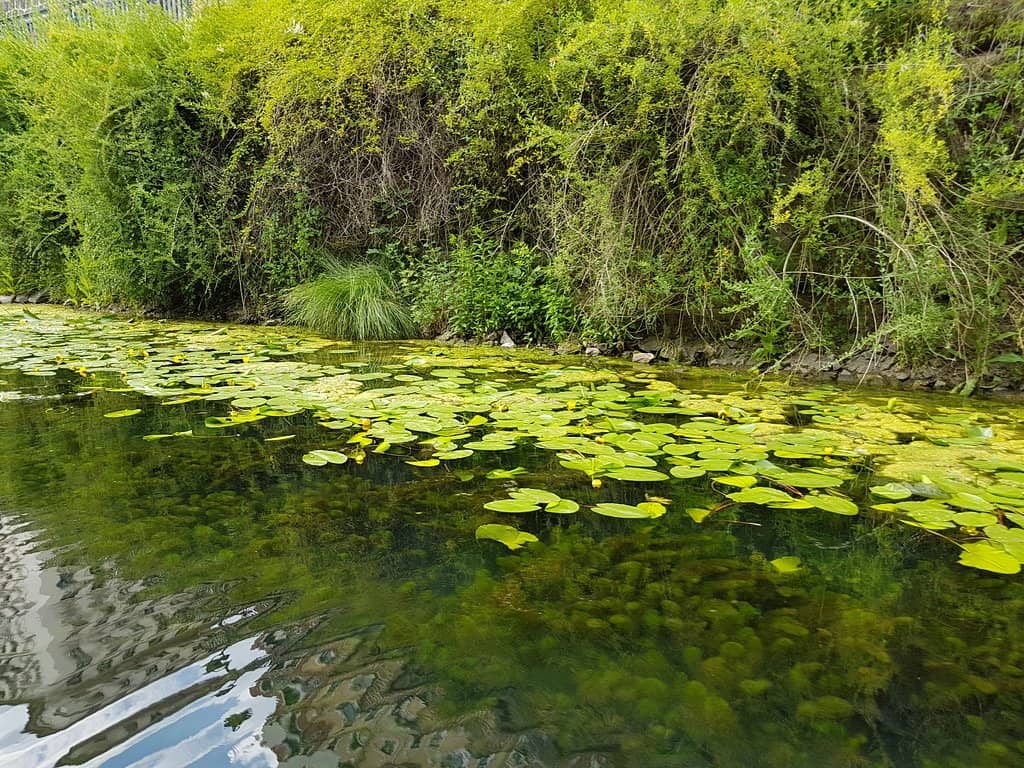 Philippuskirche Views