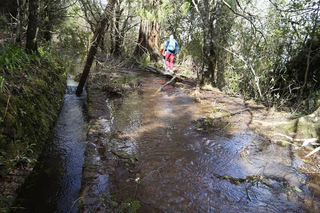 Levada do Caldeirão Verde