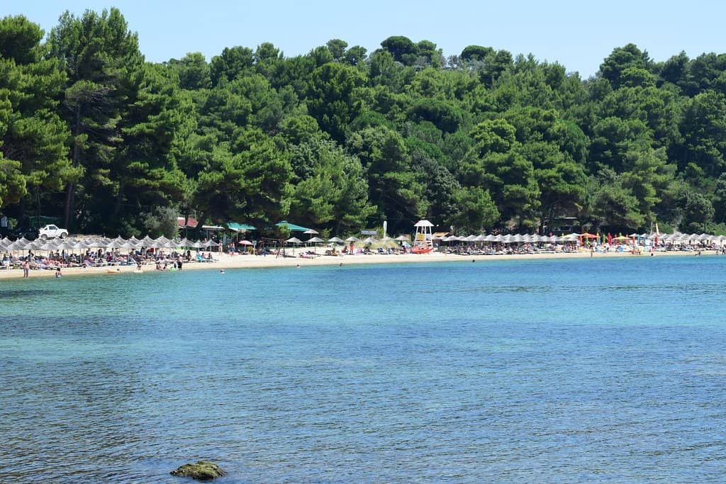 Vibrant Beach Bar Scene