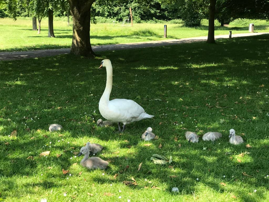Scenic Walking & Cycling Paths