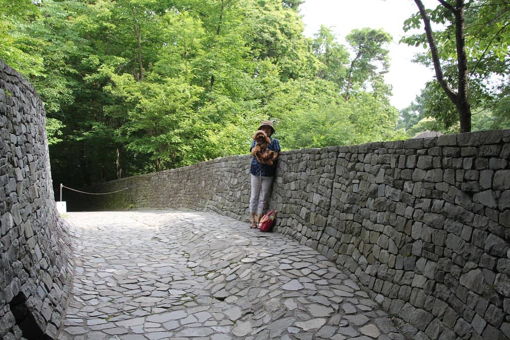 Sunlight Through Arches