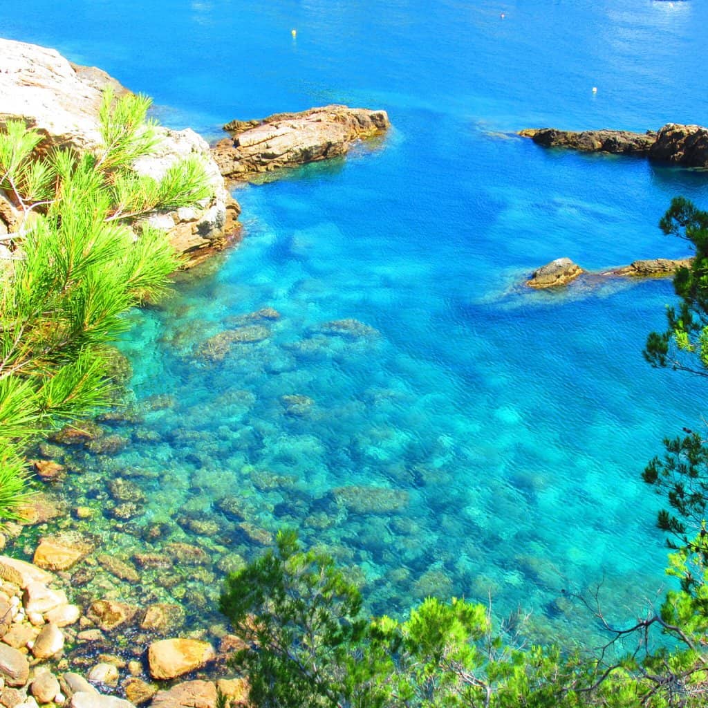 Coastal Hiking Trails