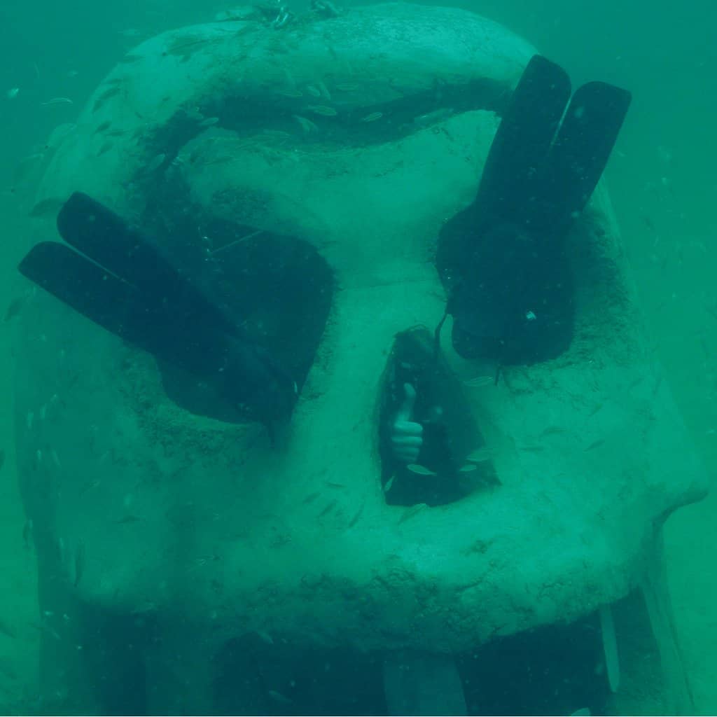 Marine Life Encounters