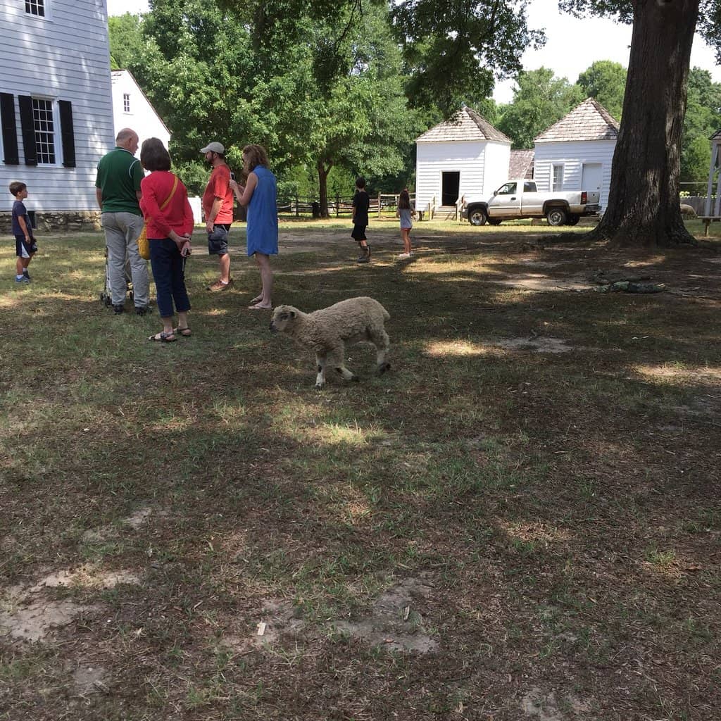 Intimate & Pleasant Atmosphere