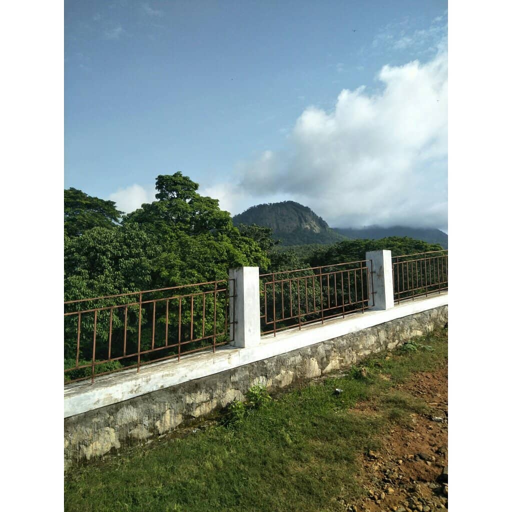 The Picturesque Drive