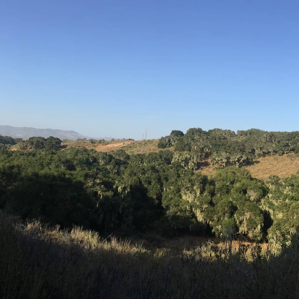 Well-Maintained Trails