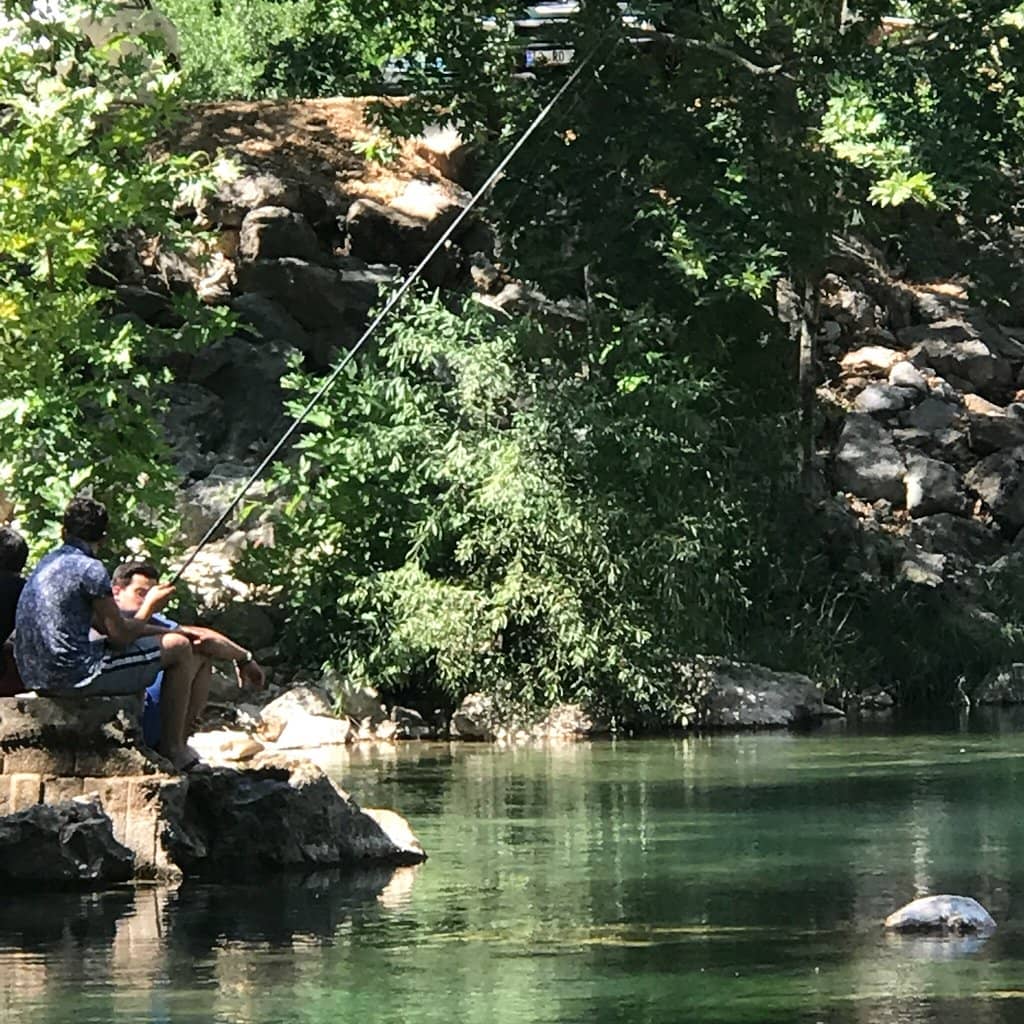Refreshing Canyon Streams