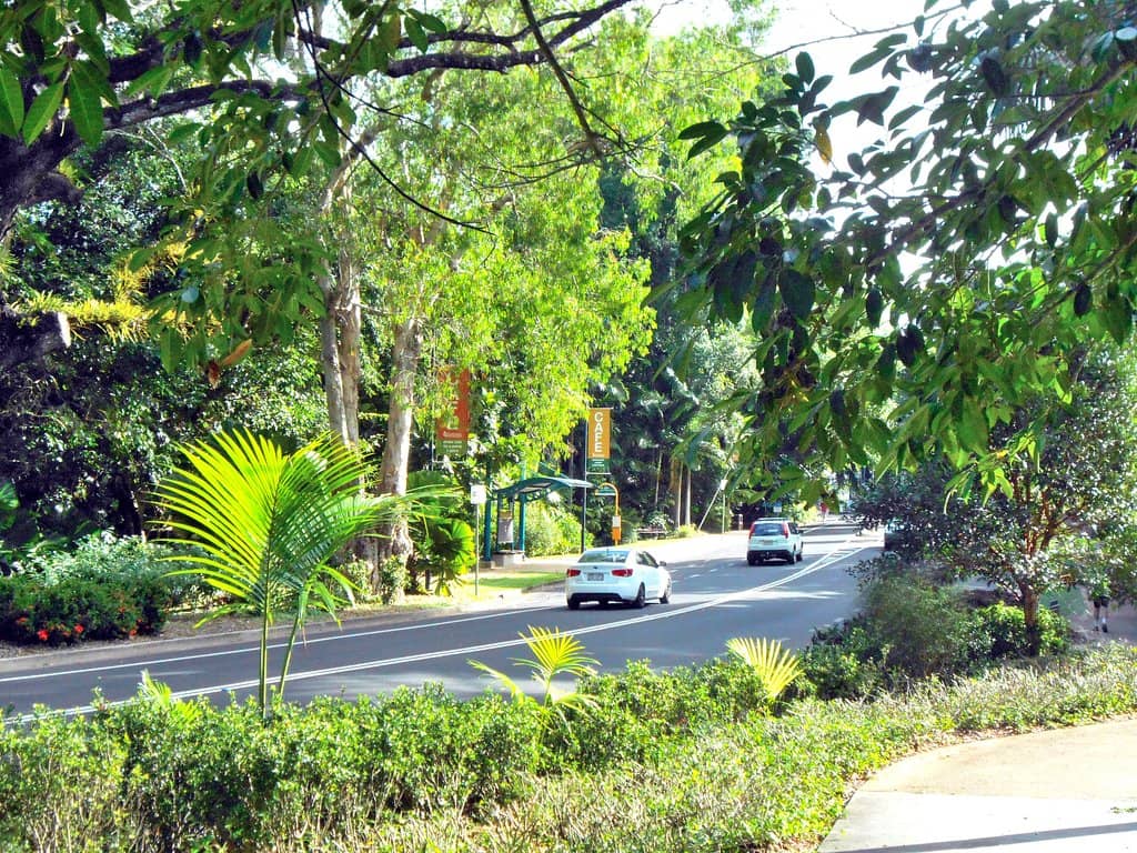 Airport Runway Views