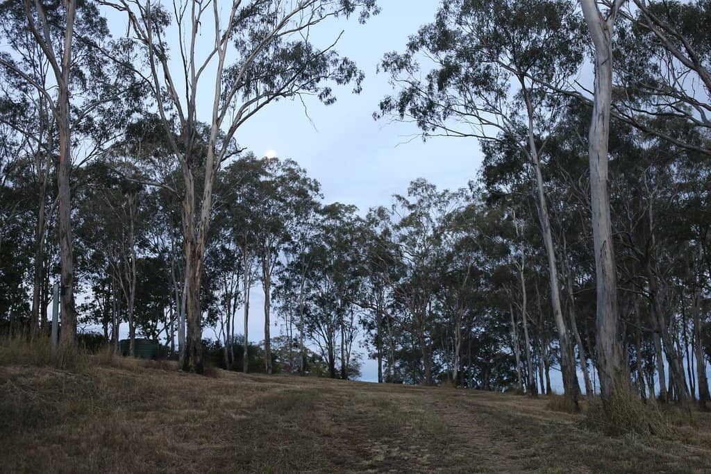 Track 4 Scenic Picnic Spot