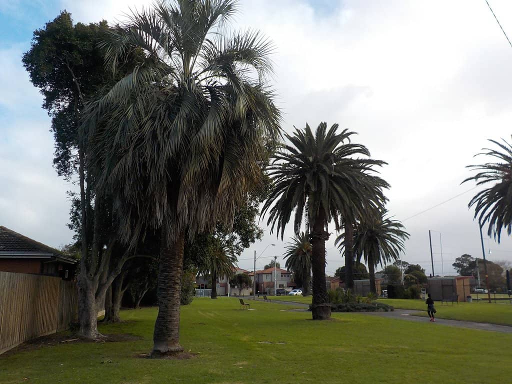 BBQ Facilities & Picnic Spots