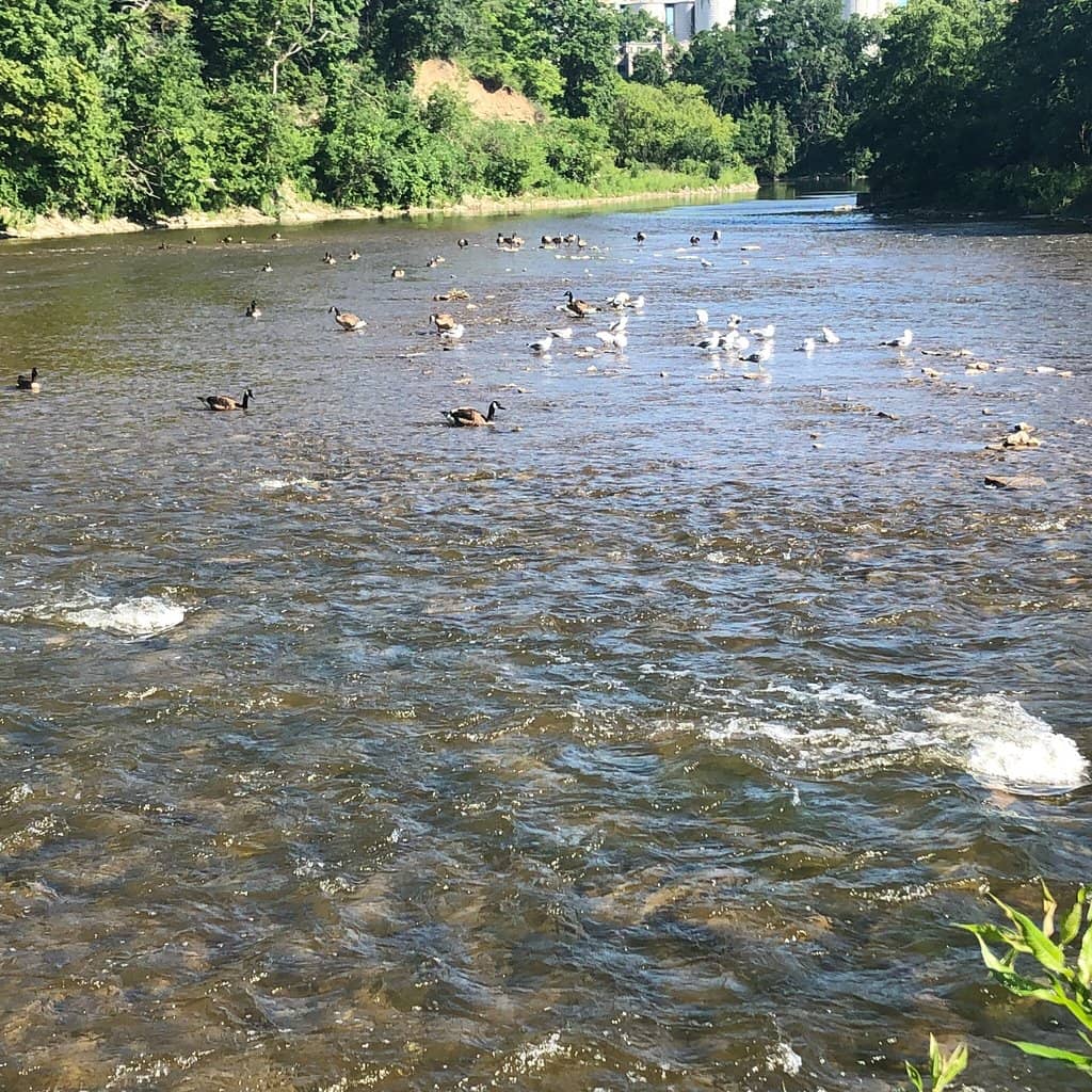 Credit River Trails