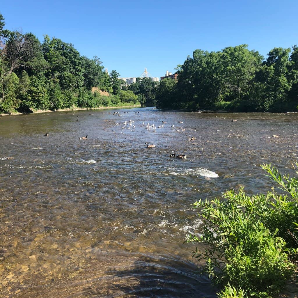 Outdoor Pool & Arena