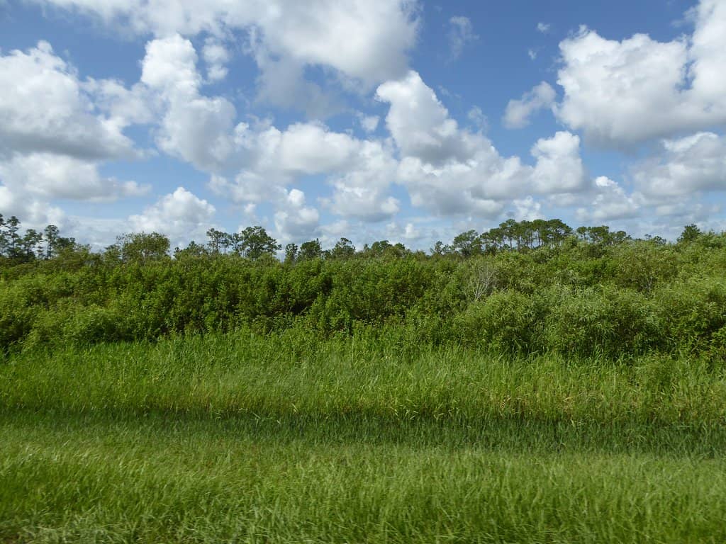 Scenic Dirt Road Exploration