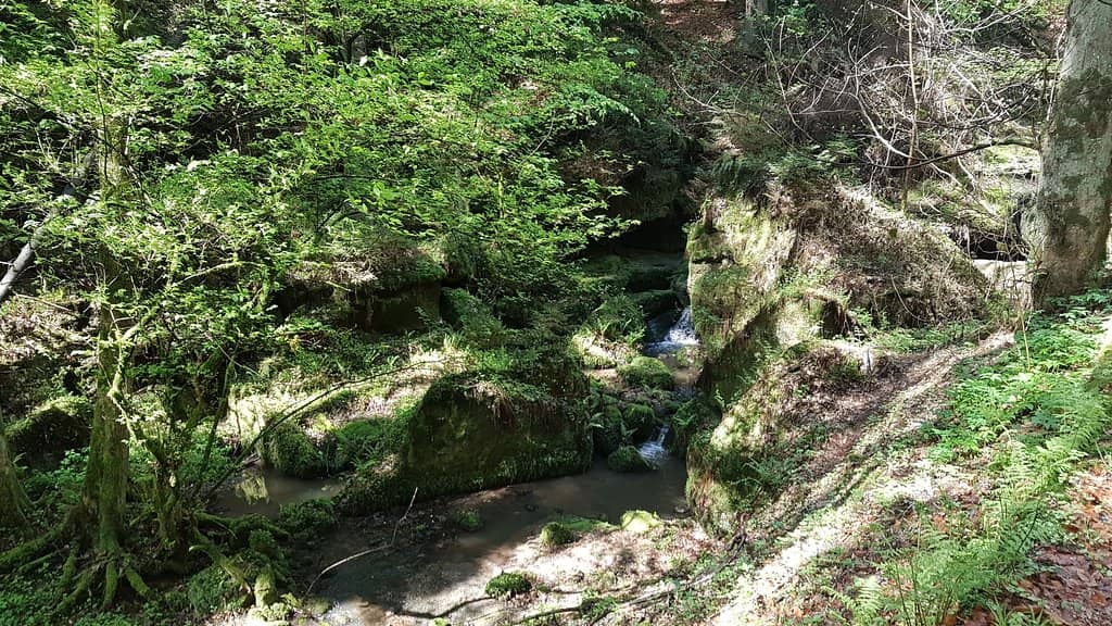 Vertical photo