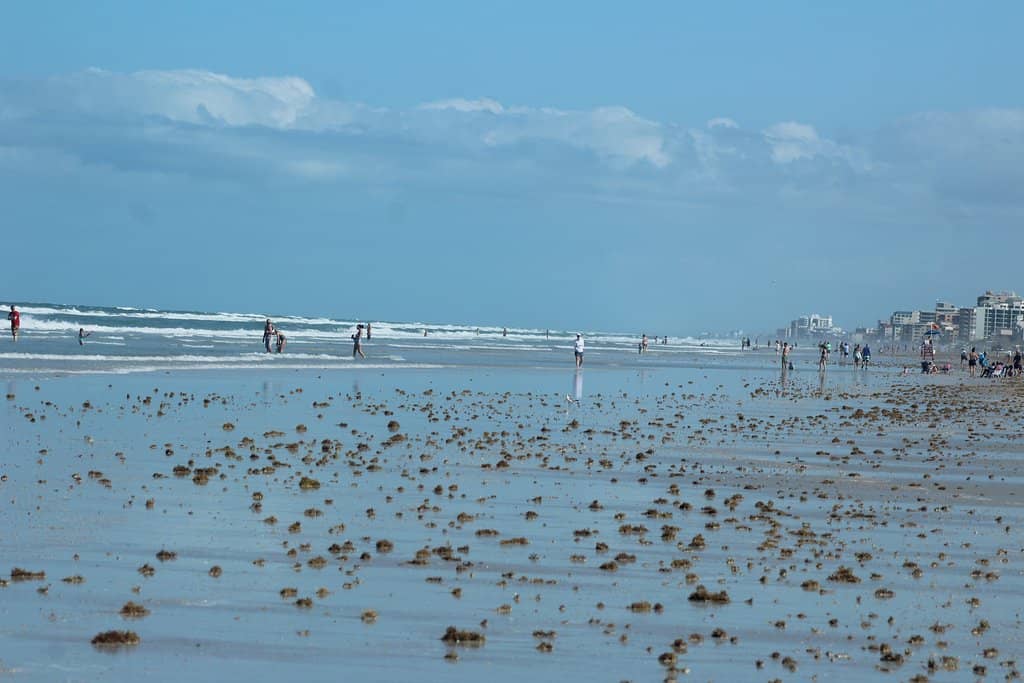 Marine Discovery Center