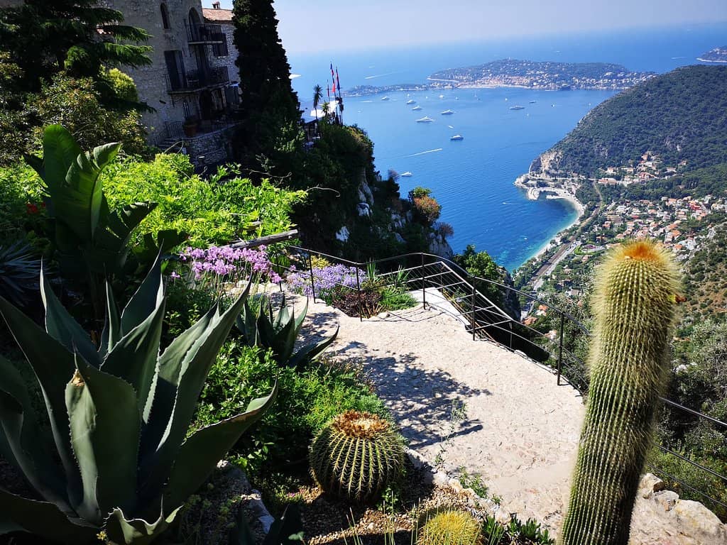 Exotic Plant Collection