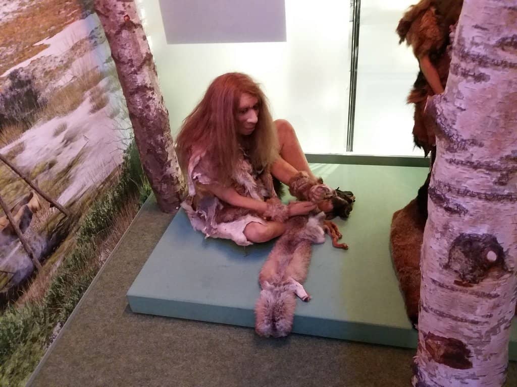 Music & Sound Exhibit