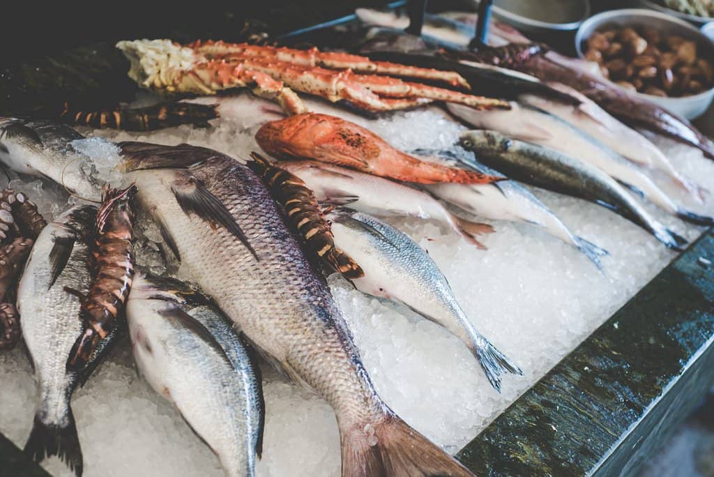 Chic Bohemian Ambiance