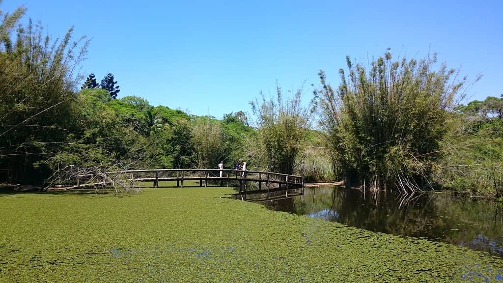 Picnic and Relaxation Spots