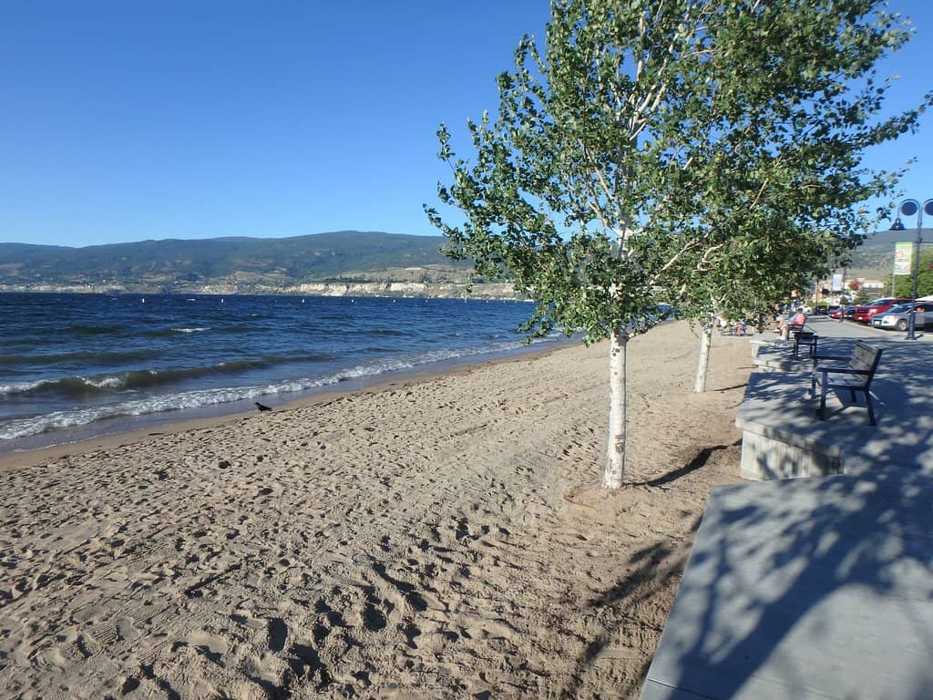 Okanagan Lake Beach