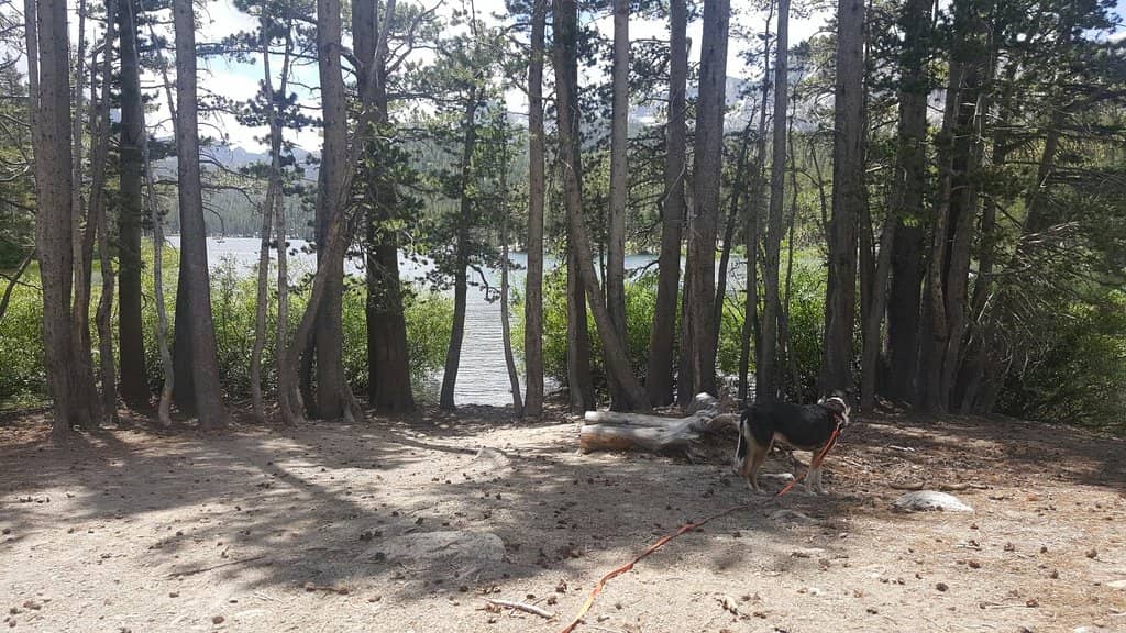 Twin Lakes Charm