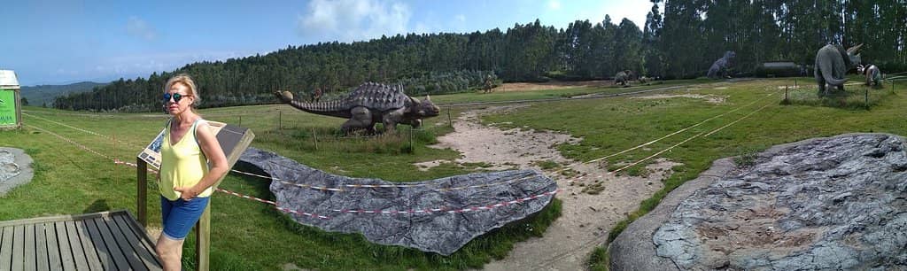 Fossil and Skeleton Exhibits