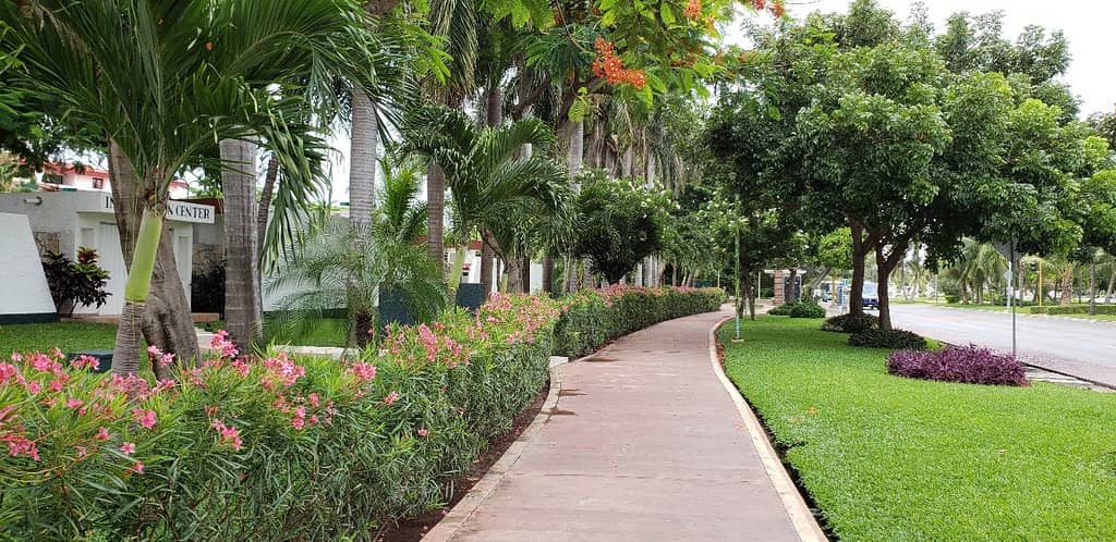 Interactive Aquarium Cancun