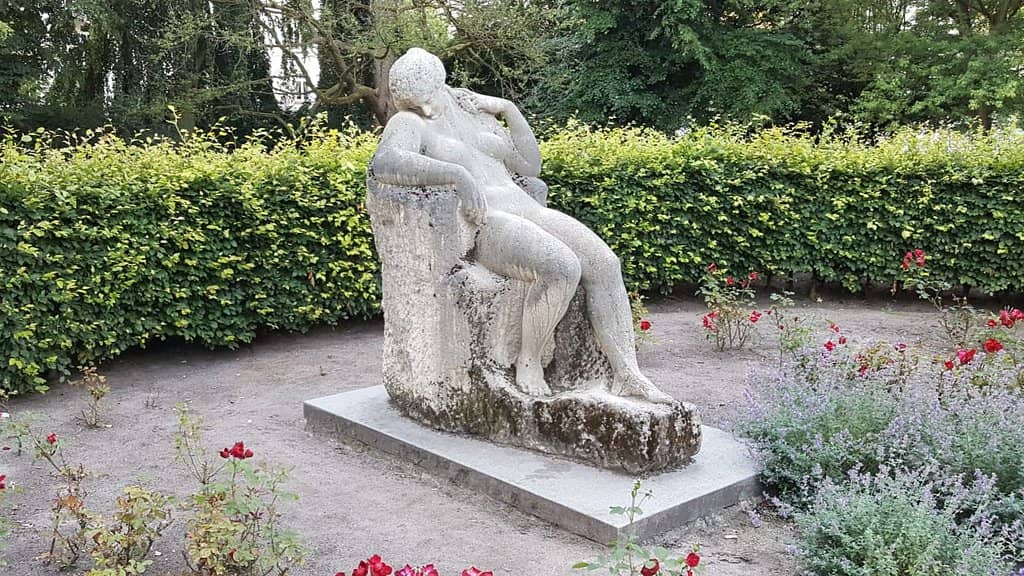 Spacious Grassy Fields