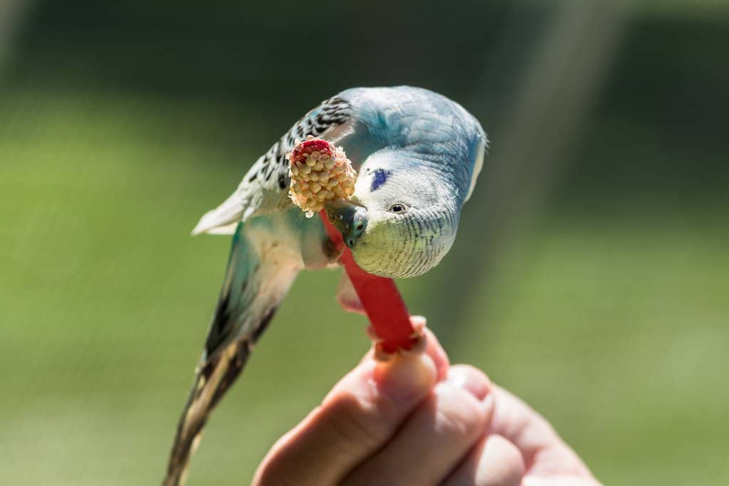 Interactive Walk-Through Encounters