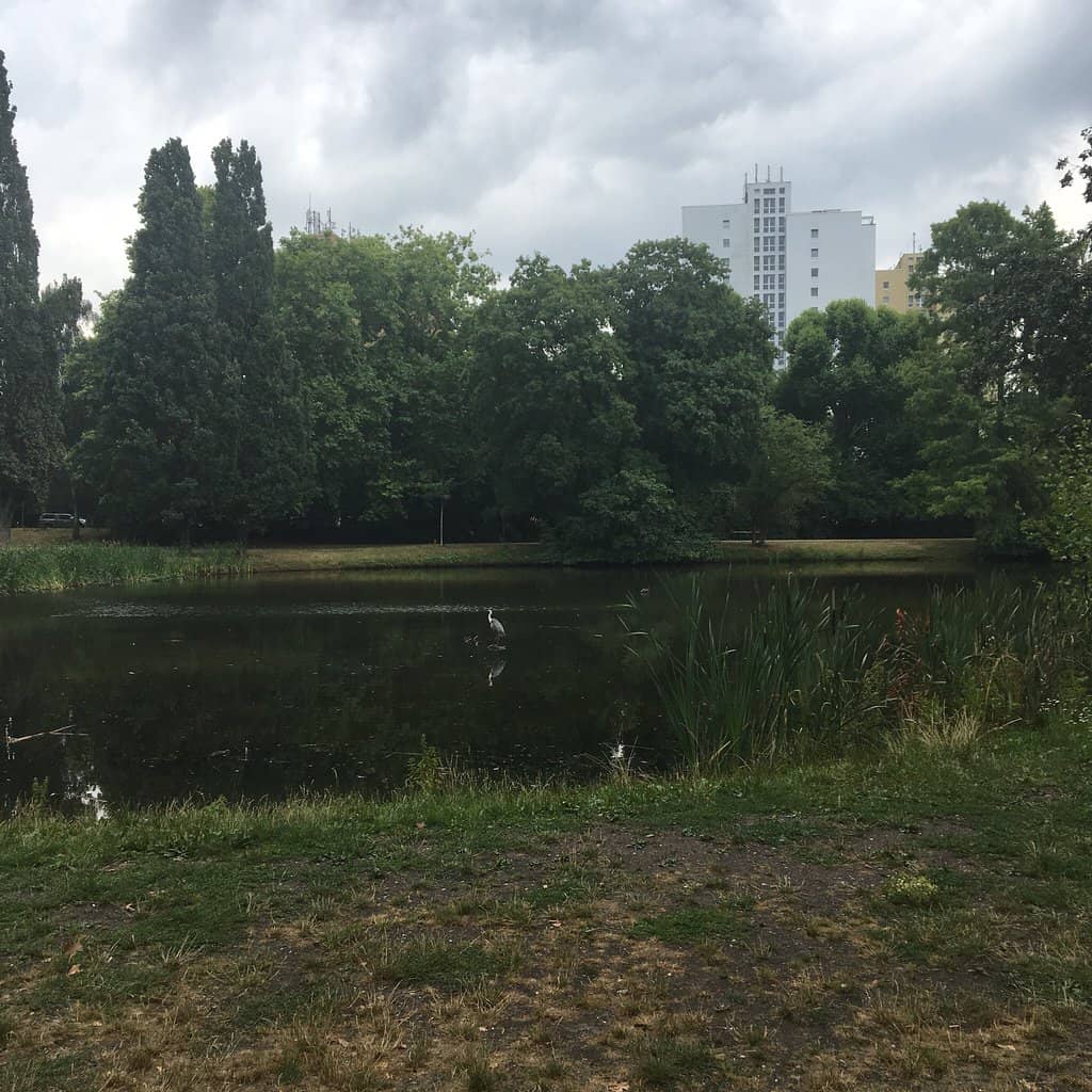 Tranquil Lakes and Bridges
