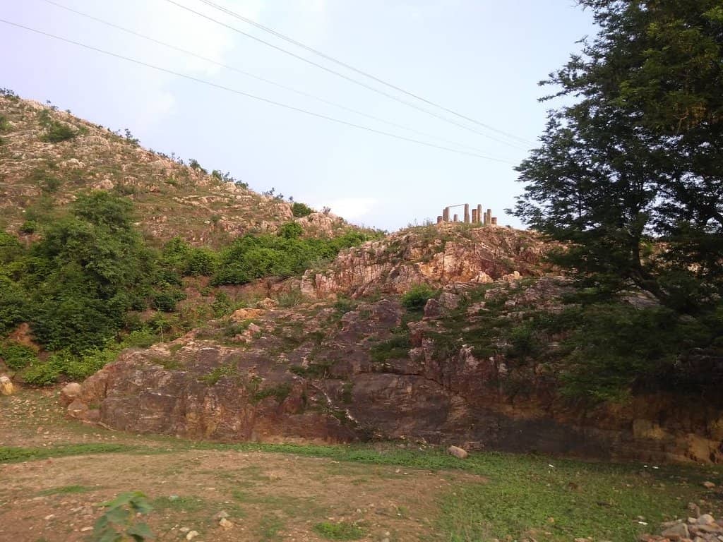 Vertical photo