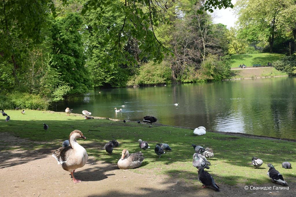 Henry Moore Sculpture