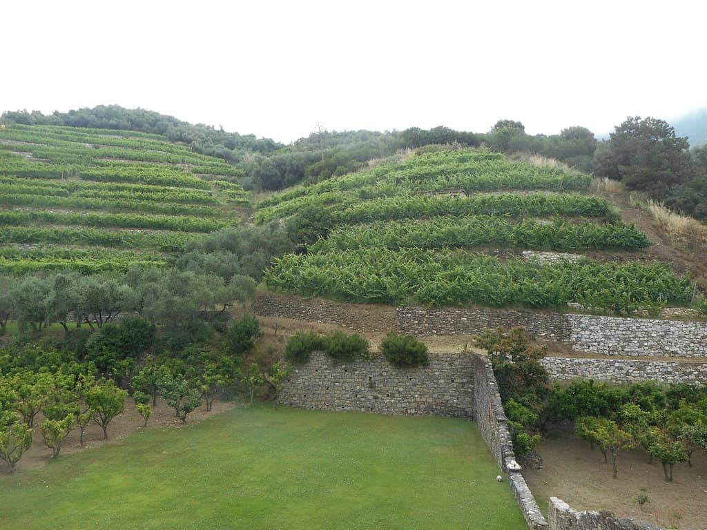 Wine Tasting & Local Products