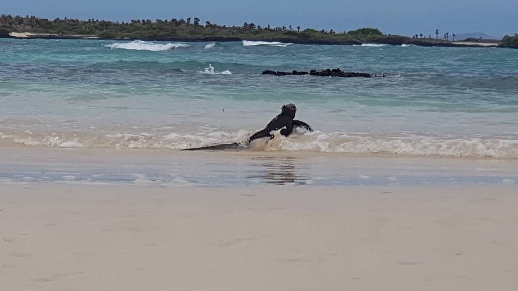 Pristine White Sands