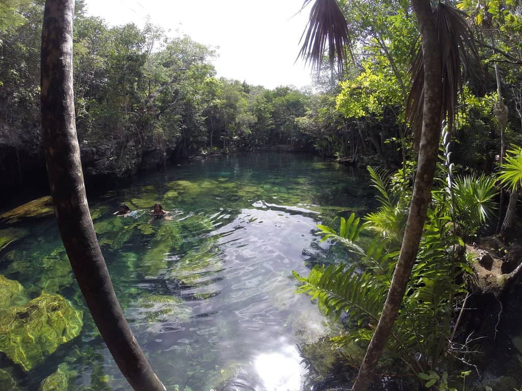 Adventure Park Activities