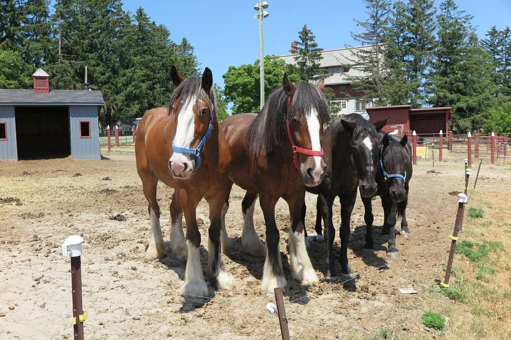 Interactive Exhibits